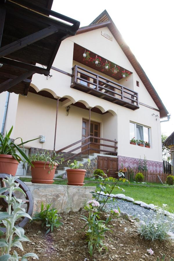Cabana Denisa Arieşeni Exterior foto